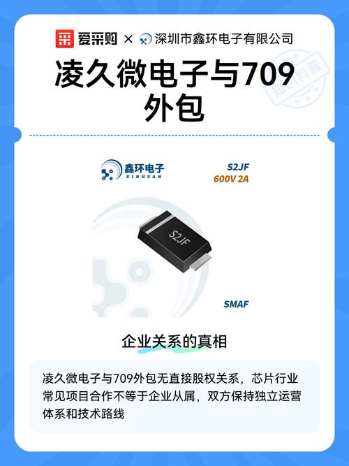 凌久微电子与709所 软件外包服务中的协同与边界
